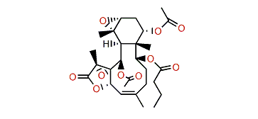 Briareolide C